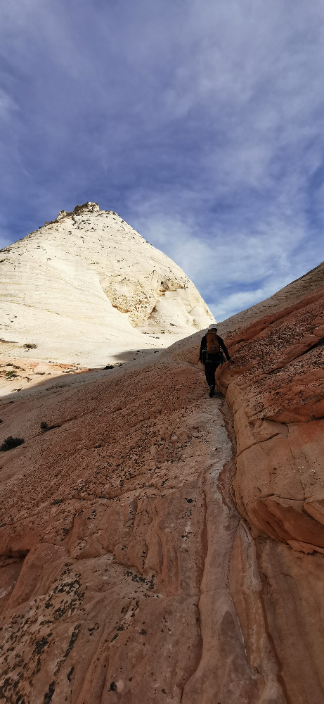 Klik za večjo sliko