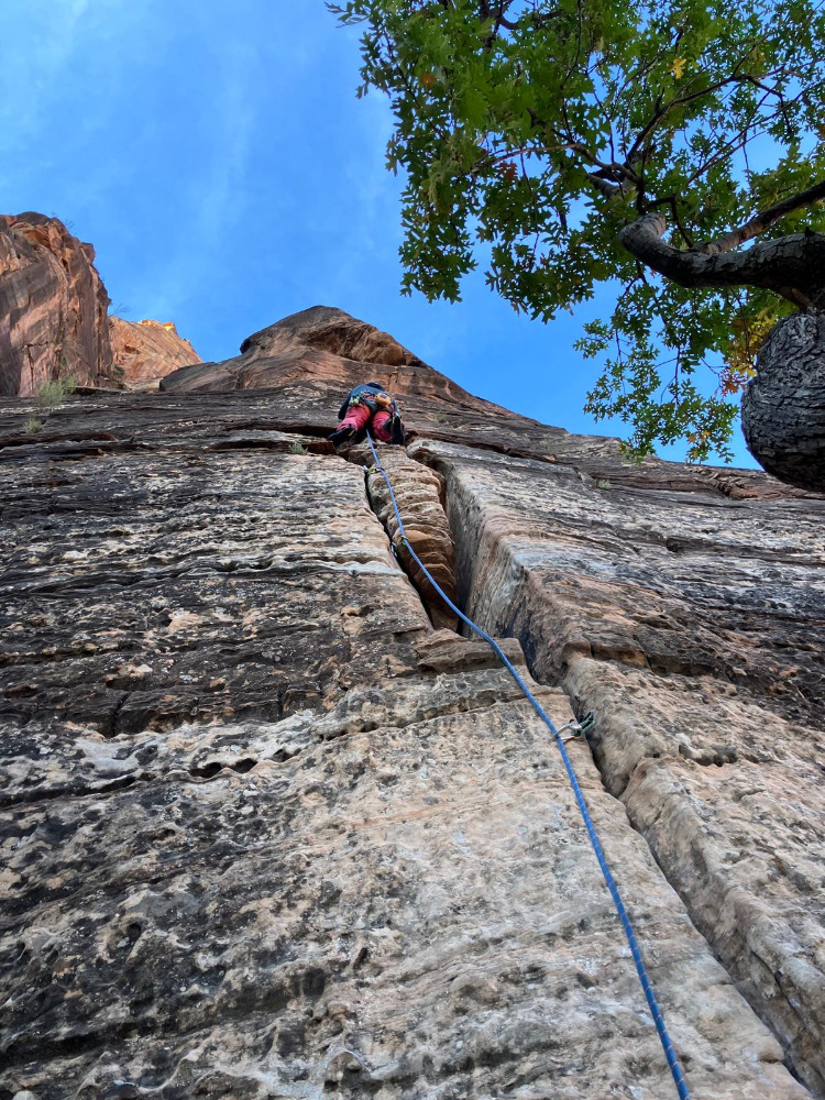 Klik za večjo sliko