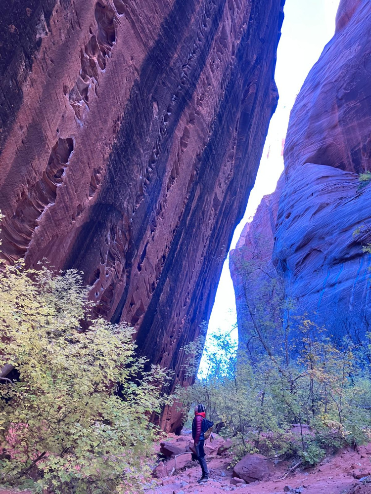 Klik za večjo sliko