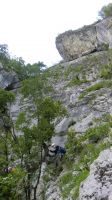 Odpri povezavo