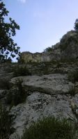 Klik za večjo sliko