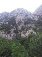 Odpri povezavo