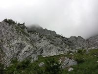 Odpri povezavo