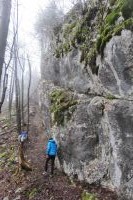 Odpri povezavo