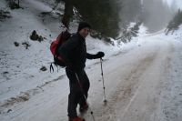 Odpri povezavo