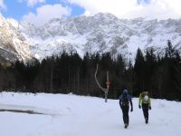 Odpri povezavo