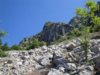 Odpri povezavo