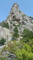 Odpri povezavo