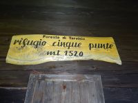 Odpri povezavo
