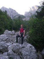 Odpri povezavo