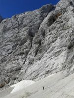 Odpri povezavo