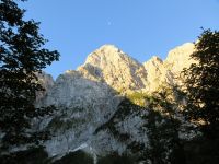 Odpri povezavo