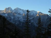 Odpri povezavo
