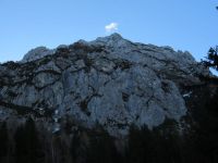Odpri povezavo