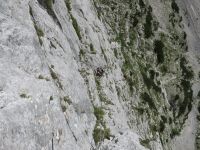 Odpri povezavo