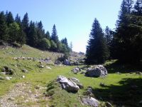 Odpri povezavo