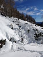 Odpri povezavo