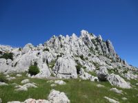 Odpri povezavo