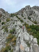 Klik za večjo sliko