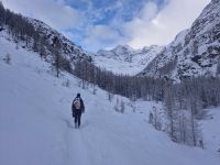 Klik za večjo sliko