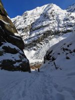 Klik za večjo sliko