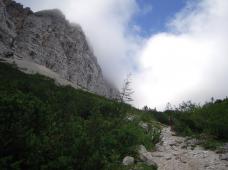 Odpri povezavo