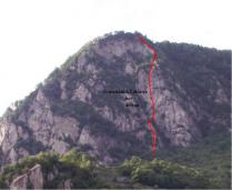 Odpri povezavo
