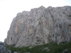 Odpri povezavo
