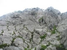 Odpri povezavo