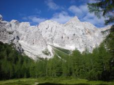 Odpri povezavo