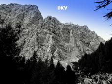 Odpri povezavo