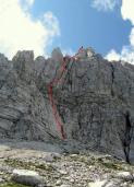 Odpri povezavo