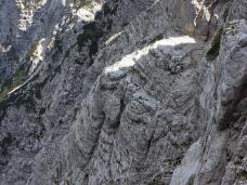 Odpri povezavo