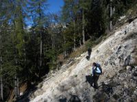 Odpri povezavo