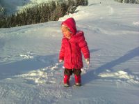 Klik za večjo sliko