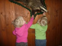 Klik za večjo sliko