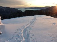 Klik za večjo sliko