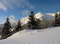 Klik za večjo sliko