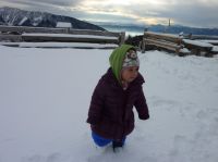 Klik za večjo sliko