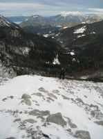 Odpri povezavo