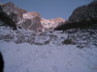Odpri povezavo