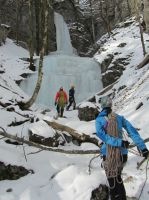 Odpri povezavo