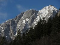 Odpri povezavo