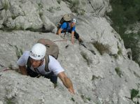 Odpri povezavo