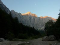 Odpri povezavo