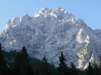 Odpri povezavo