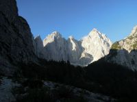 Odpri povezavo
