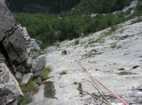 Odpri povezavo
